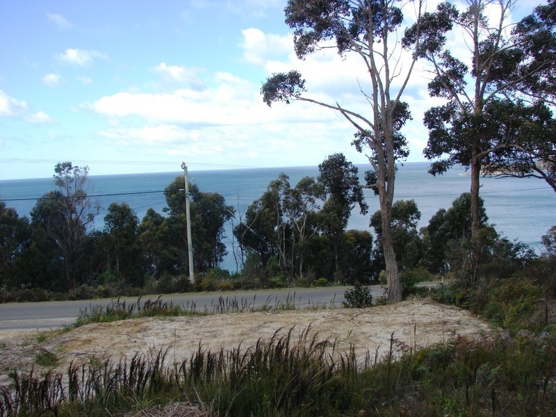 74 Blowhole Road, Eaglehawk Neck TAS 7179