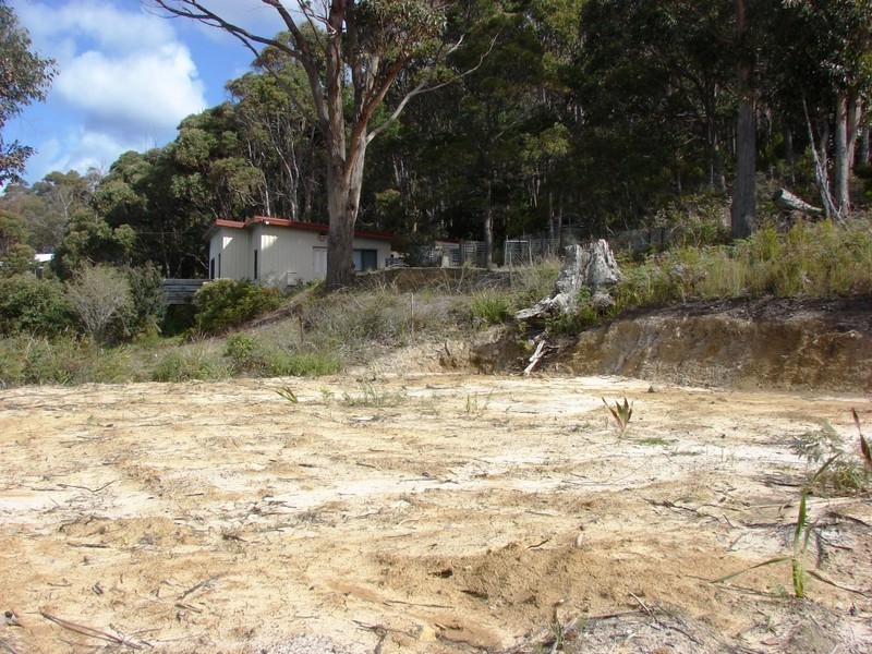 74 Blowhole Road, Eaglehawk Neck TAS 7179