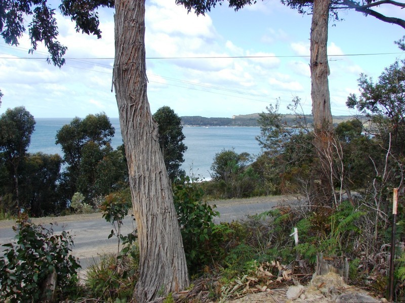 74 Blowhole Road, Eaglehawk Neck TAS 7179