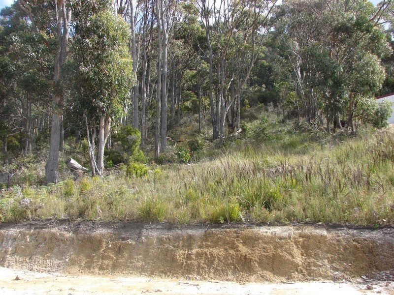 74 Blowhole Road, Eaglehawk Neck TAS 7179