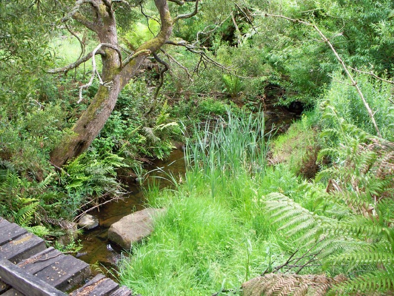 143 Robinsons rd, Highcroft TAS 7183