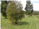 18 PENDELL DRIVE, Forcett TAS 7173