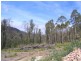 1142 Kellevie Road, Nugent TAS 7172