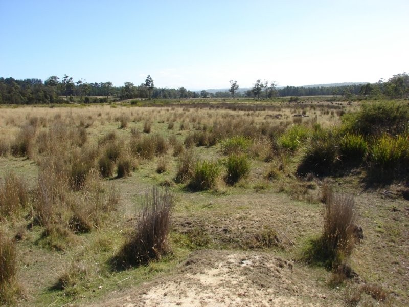 . Kelletts Road, Sloping Main TAS 7186