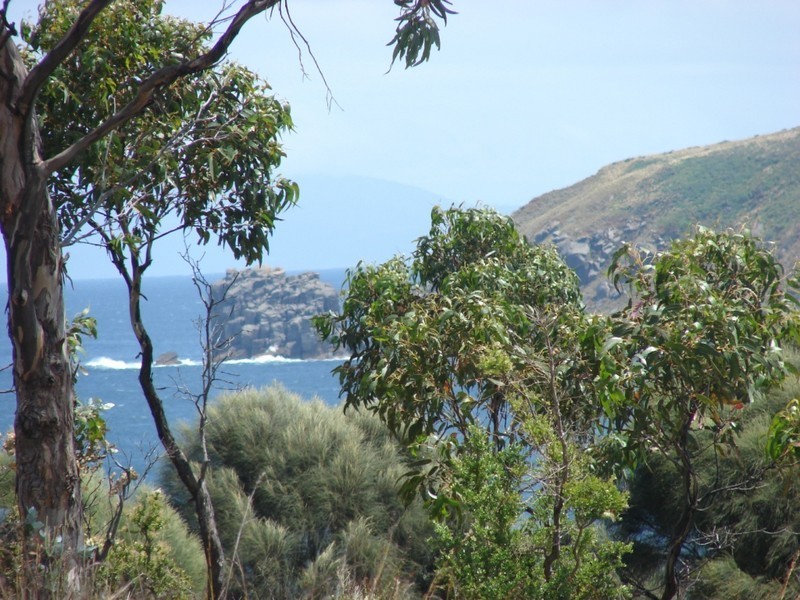 L15 Skeggs avenue, White Beach TAS 7184