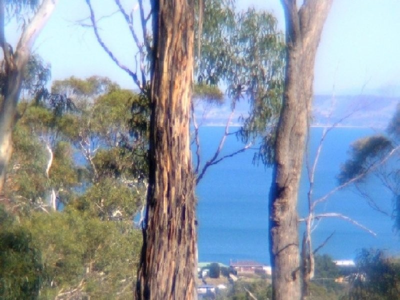 1 Deborah Lane, Dodges Ferry TAS 7173