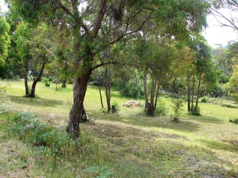 13  PIRATES ROAD, Eaglehawk Neck TAS 7179