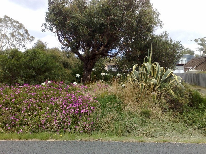 32 CARLTON BLUFF ROAD, Primrose Sands TAS 7173