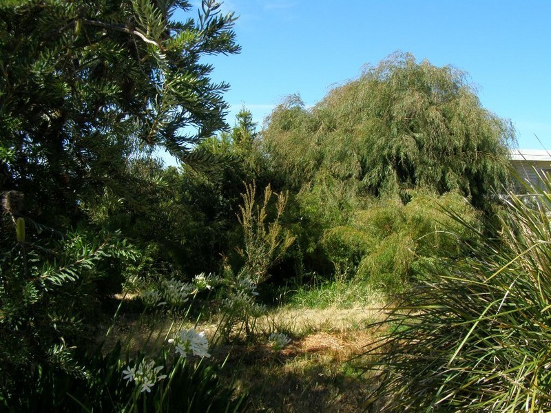 32 CARLTON BLUFF ROAD, Primrose Sands TAS 7173