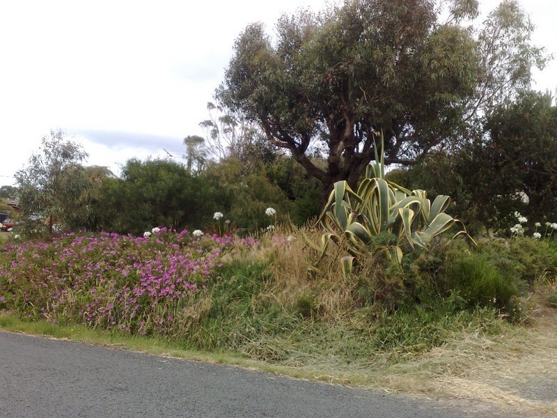 32 CARLTON BLUFF ROAD, Primrose Sands TAS 7173