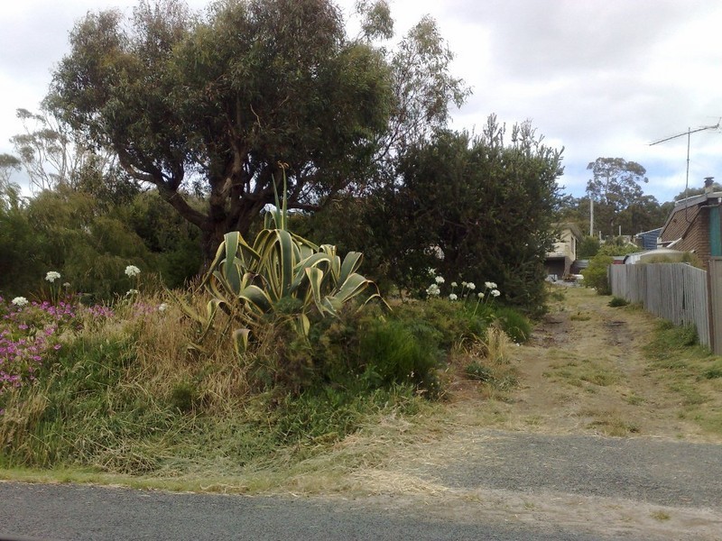 32 CARLTON BLUFF ROAD, Primrose Sands TAS 7173