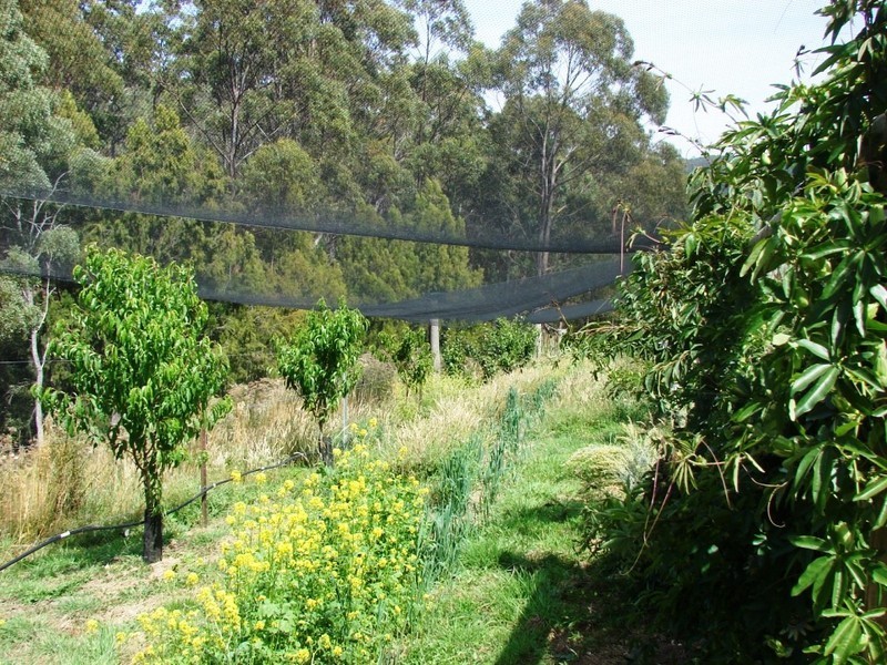 760 Roaring Beach Road, Nubeena TAS 7184