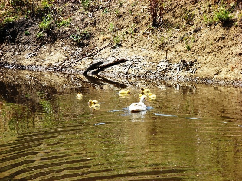 760 Roaring Beach Road, Nubeena TAS 7184