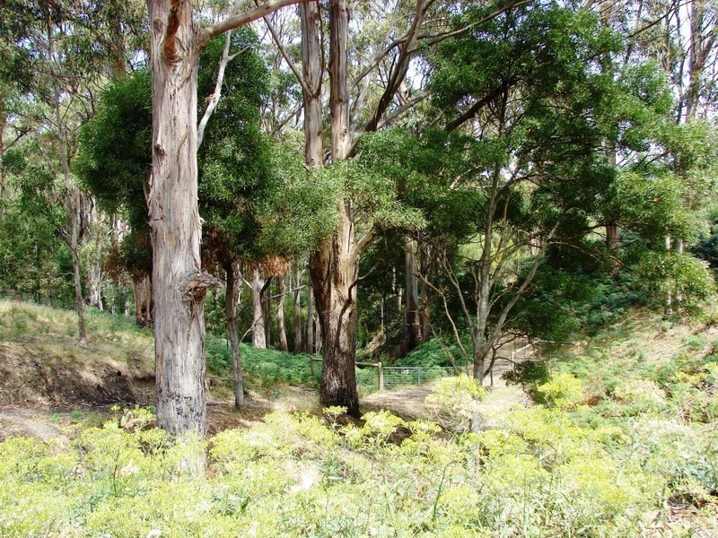 760 Roaring Beach Road, Nubeena TAS 7184