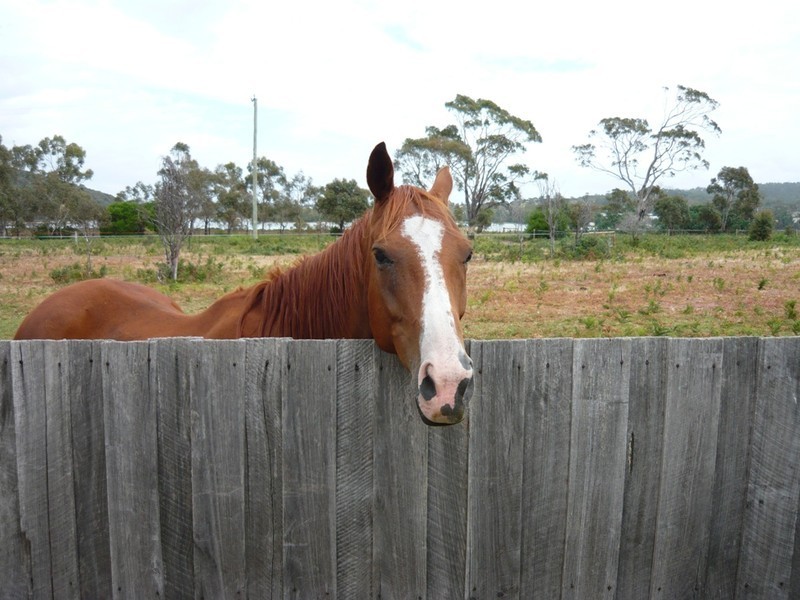 10 Kruvale Court, Primrose Sands TAS 7173