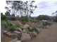 3 WEDGETAIL STREET, Primrose Sands TAS 7173