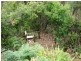 320 Roaring Beach, Nubeena TAS 7184