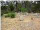 320 Roaring Beach, Nubeena TAS 7184