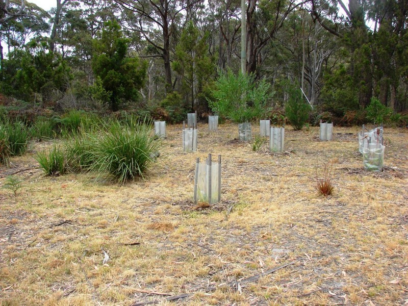 320 Roaring Beach, Nubeena TAS 7184