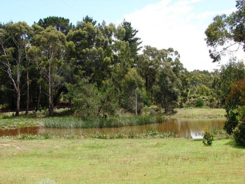 45 Kelletts Road, Sloping Main TAS 7186