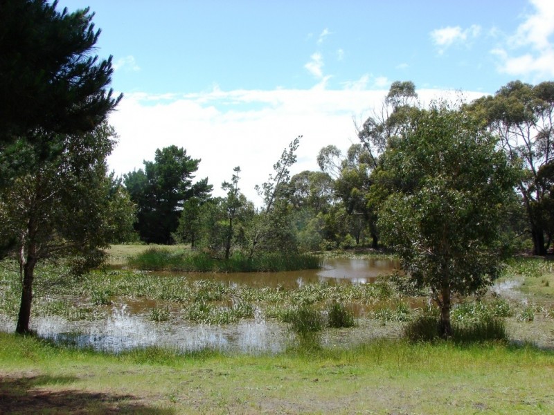 45 Kelletts Road, Sloping Main TAS 7186