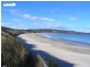 8 Protea Street, Primrose Sands TAS 7173