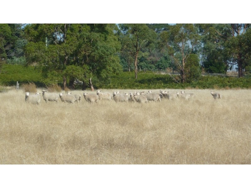 679 ARTHUR HIGHWAY, Forcett TAS 7173