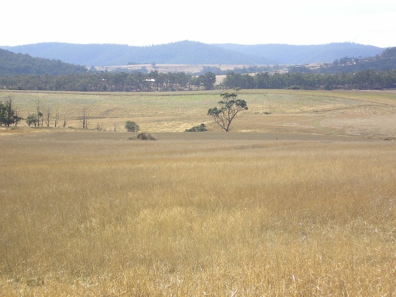 Lot 3 Gillingbrook Road, Forcett TAS 7173