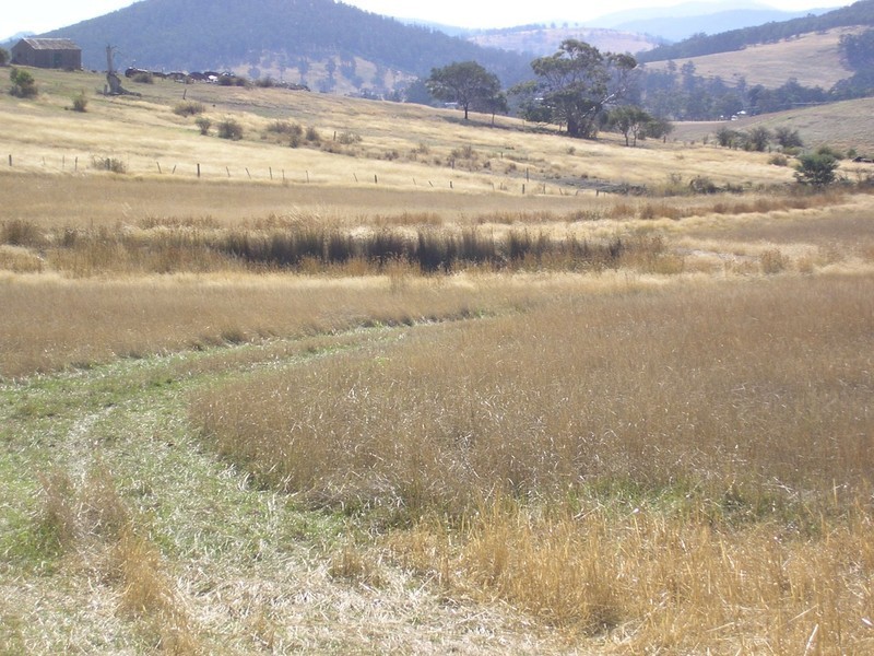 Lot 3 Gillingbrook Road, Forcett TAS 7173