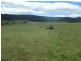 Lot 3 Gillingbrook Road, Forcett TAS 7173