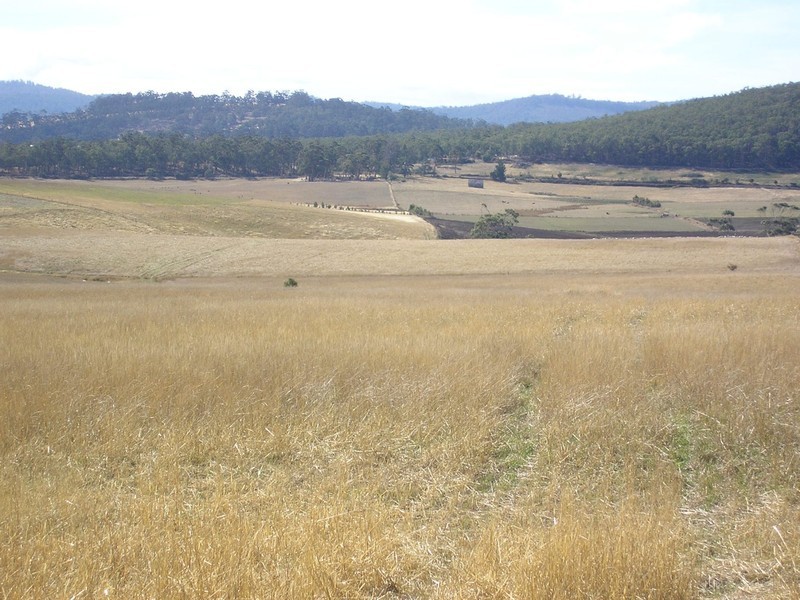 Lot 3 Gillingbrook Road, Forcett TAS 7173