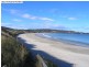 11 Petrel Street, Primrose Sands TAS 7173