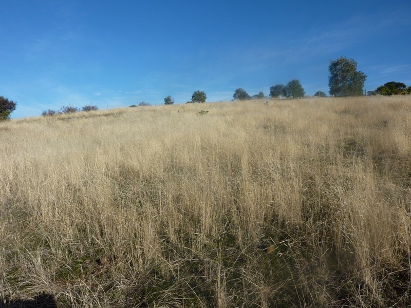 234 Lewisham Road, Forcett TAS 7173