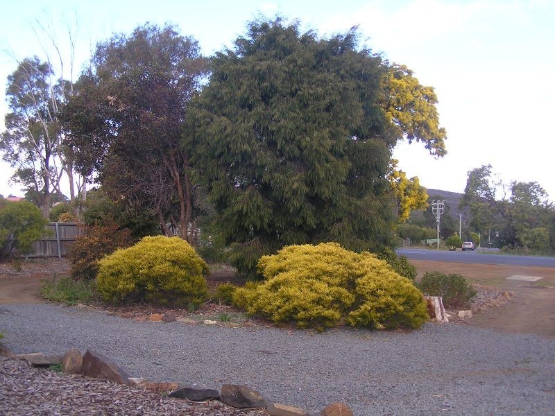 254 Carlton River Road, Carlton TAS 7173