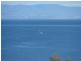 White Beach TAS 7184