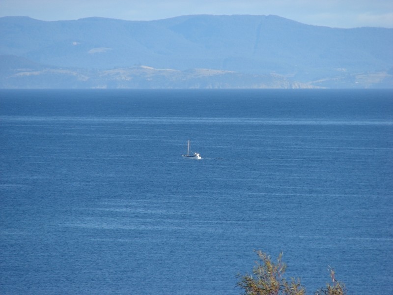 White Beach TAS 7184