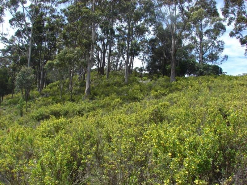 L2 Roaring Beach Road, Nubeena TAS 7184