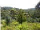 L2 Roaring Beach Road, Nubeena TAS 7184