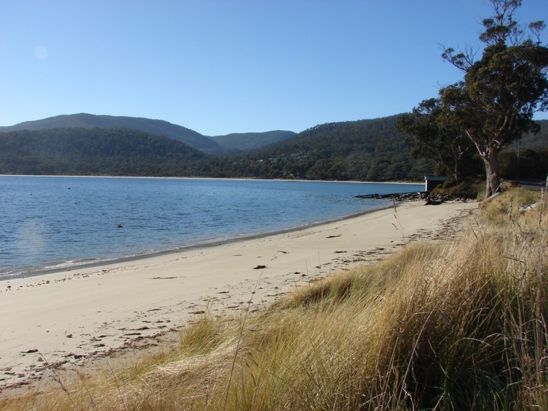 411 White Beach rd, White Beach TAS 7184