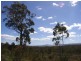 L10 Gwandalan rd, Saltwater River TAS 7186