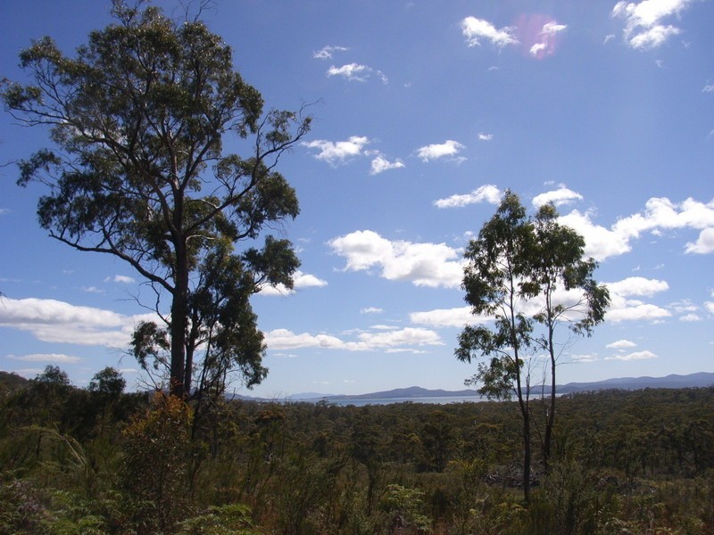 L10 Gwandalan rd, Saltwater River TAS 7186