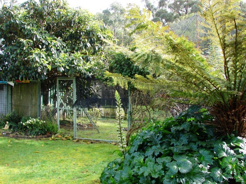 100 Old Jetty road, Eaglehawk Neck TAS 7179