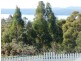 741 Nubeena Back Road, Koonya TAS 7187