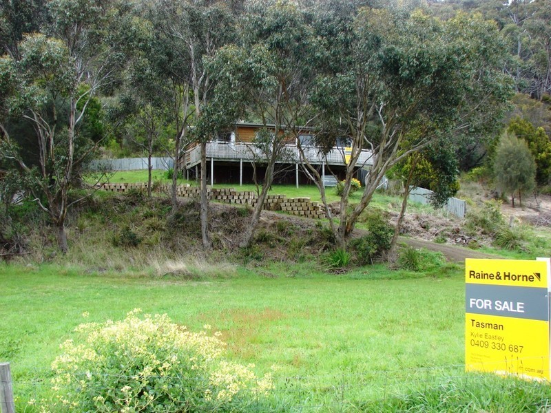 41 White Beach Road, White Beach TAS 7184