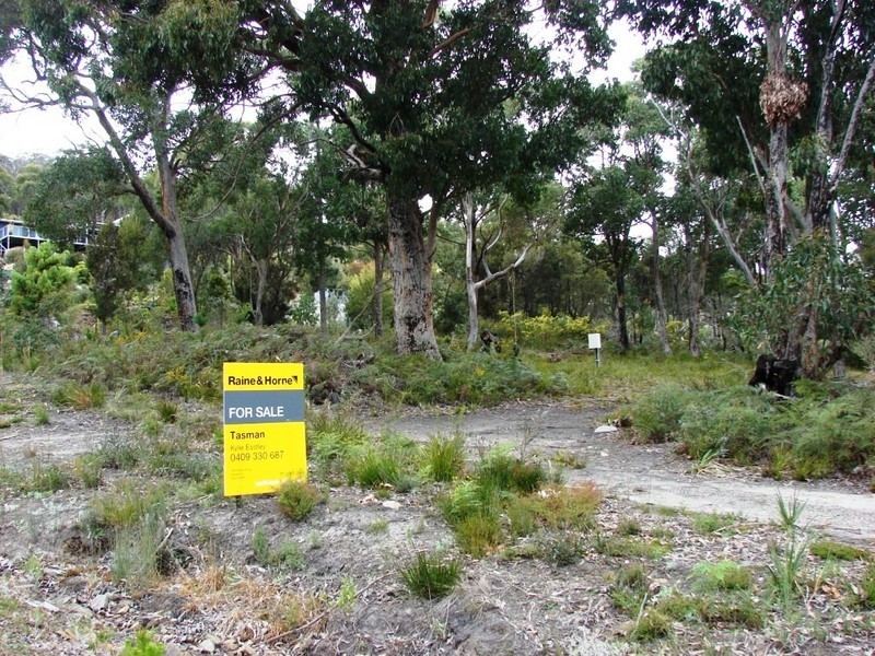 L1 Hardy’s Court, White Beach TAS 7184