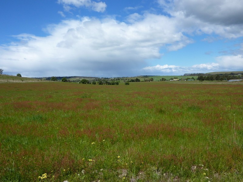RA 589 Arthur Highway, Forcett TAS 7173