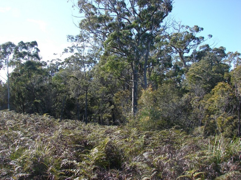 L703 Paul Court, Murdunna TAS 7178