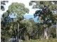 L703 Paul Court, Murdunna TAS 7178