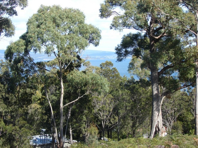L703 Paul Court, Murdunna TAS 7178