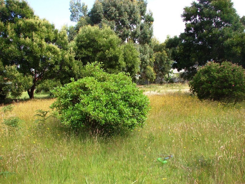 4 Skeggs Avenue, White Beach TAS 7184